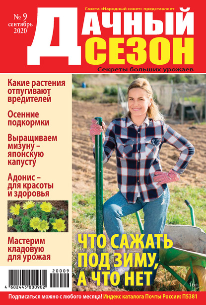 Скачать книгу Дачный сезон №09/2020