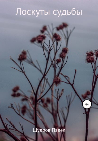 Скачать книгу Лоскуты судьбы