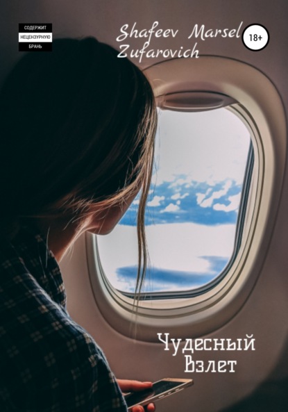 Скачать книгу Чудесный взлет
