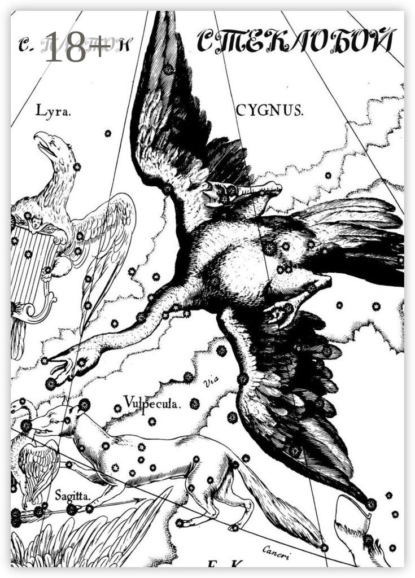 Скачать книгу Стеклобой. Киноповесть