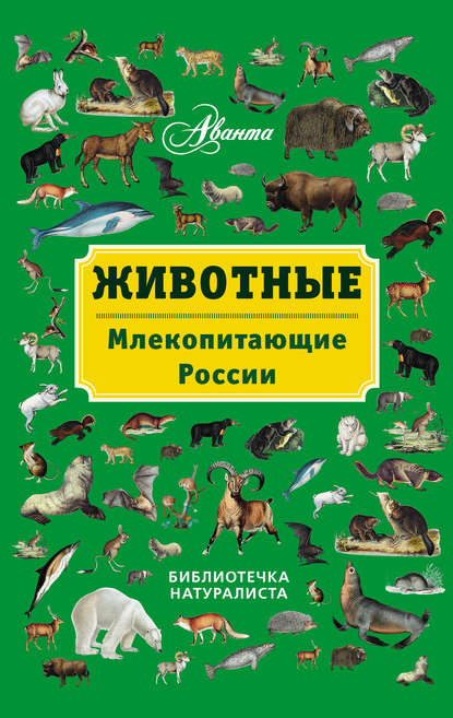 Скачать книгу Животные. Млекопитающие России