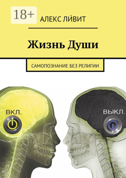 Скачать книгу Жизнь Души. Самопознание без религии