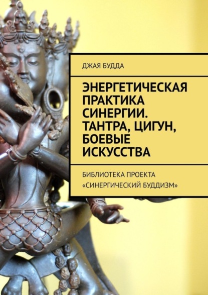 Скачать книгу Энергетическая практика синергии. Тантра, цигун, боевые искусства. Библиотека проекта «Синергический буддизм»