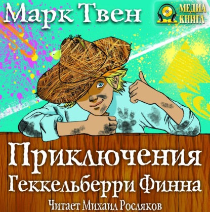 Скачать книгу Приключения Гекельберри Финна