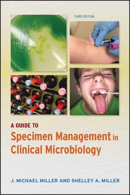 Скачать книгу A Guide to Specimen Management in Clinical Microbiology