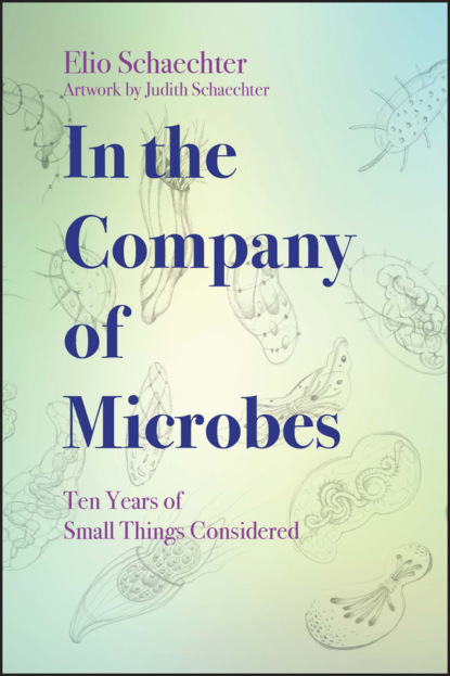 Скачать книгу In the Company of Microbes