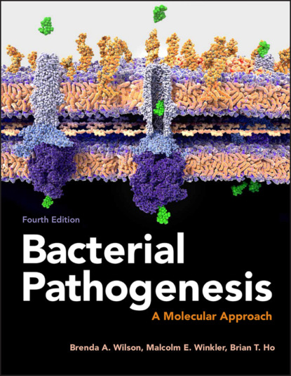 Скачать книгу Bacterial Pathogenesis