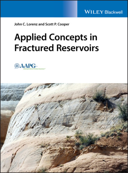 Скачать книгу Applied Concepts in Fractured Reservoirs
