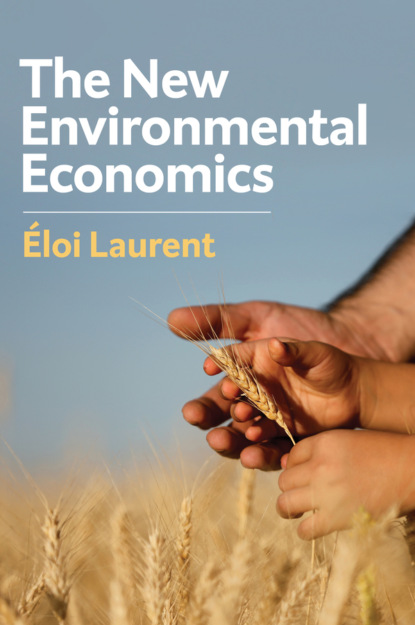 Скачать книгу The New Environmental Economics