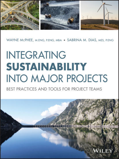 Скачать книгу Integrating Sustainability Into Major Projects