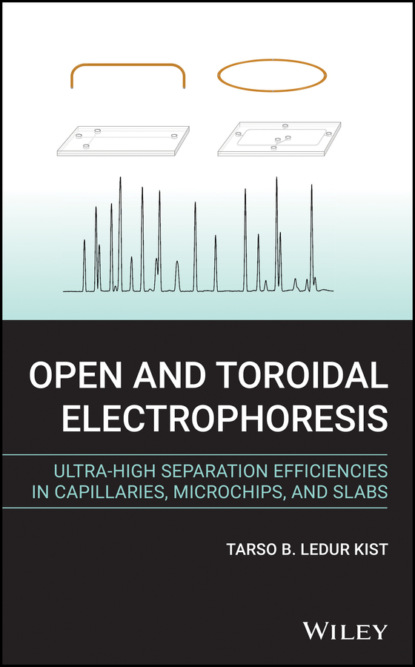 Скачать книгу Open and Toroidal Electrophoresis