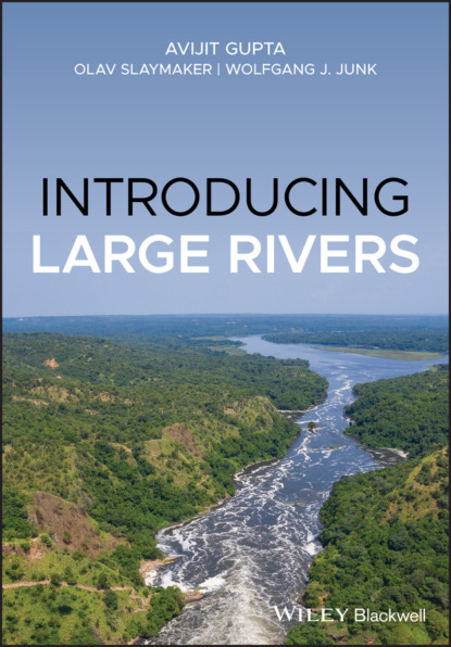 Скачать книгу Introducing Large Rivers