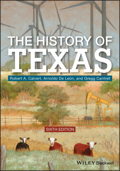 Скачать книгу The History of Texas