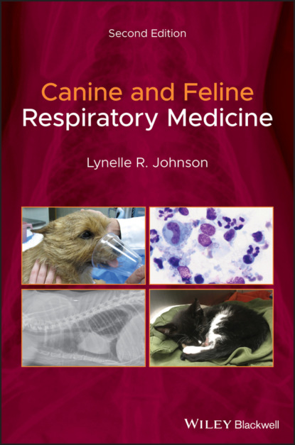 Скачать книгу Canine and Feline Respiratory Medicine