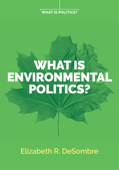 Скачать книгу What is Environmental Politics?