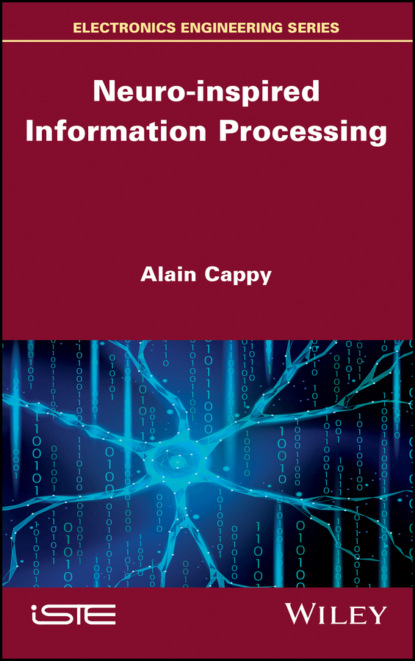 Скачать книгу Neuro-inspired Information Processing