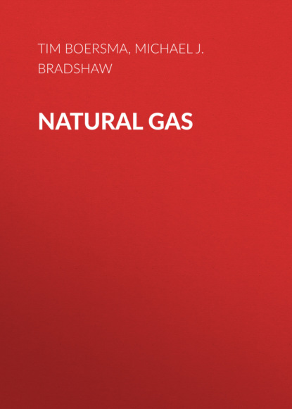 Скачать книгу Natural Gas