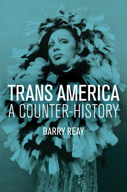 Скачать книгу Trans America