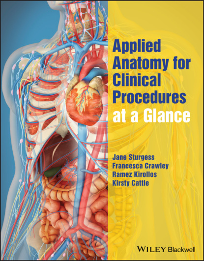 Скачать книгу Applied Anatomy for Clinical Procedures at a Glance