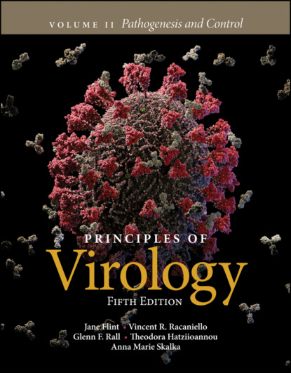 Скачать книгу Principles of Virology, Volume 2