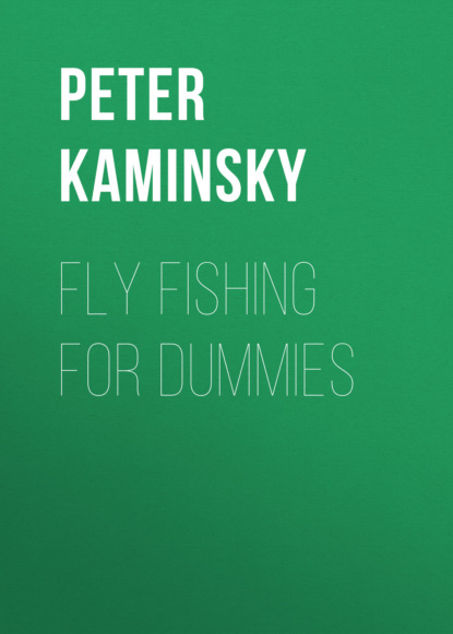 Скачать книгу Fly Fishing For Dummies