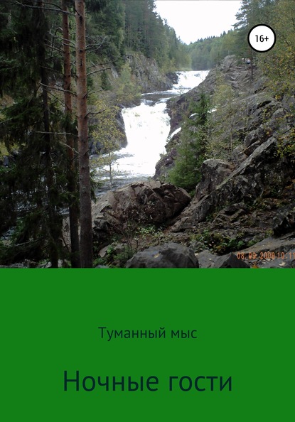 Скачать книгу Ночные гости