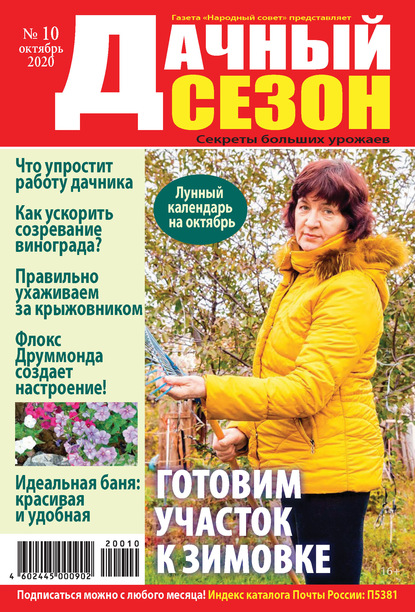 Скачать книгу Дачный сезон №10/2020