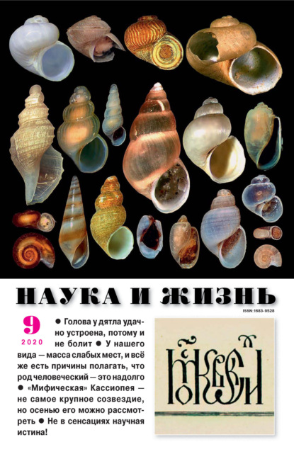Скачать книгу Наука и жизнь №09/2020