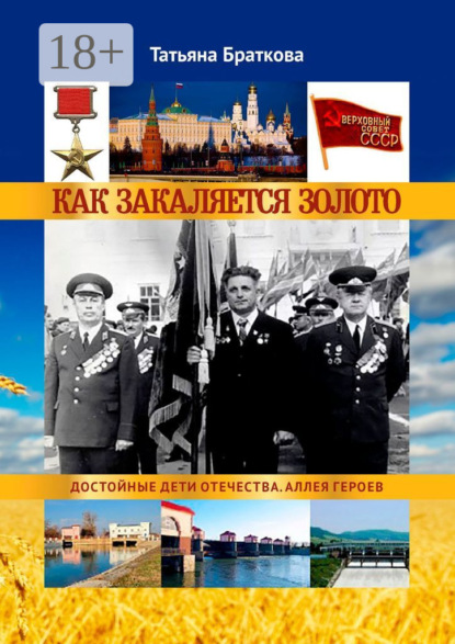 Скачать книгу Как закаляется золото. Достойные дети Отечества. Аллея героев