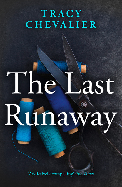 Скачать книгу The Last Runaway