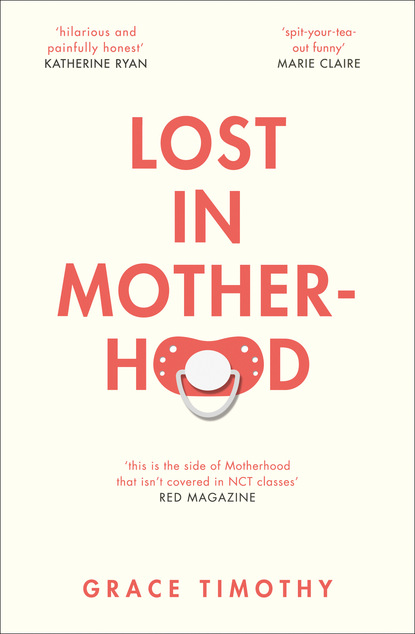 Скачать книгу Lost in Motherhood
