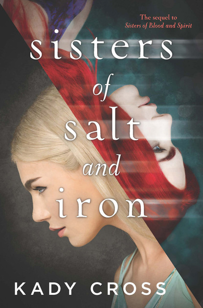 Скачать книгу Sisters Of Salt And Iron