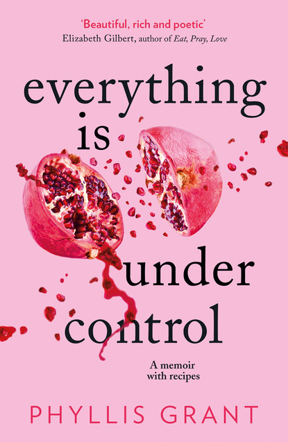 Скачать книгу Everything is Under Control