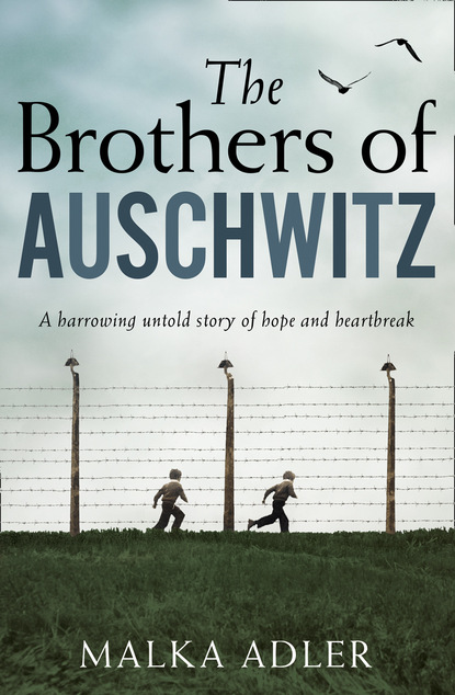 Скачать книгу The Brothers of Auschwitz
