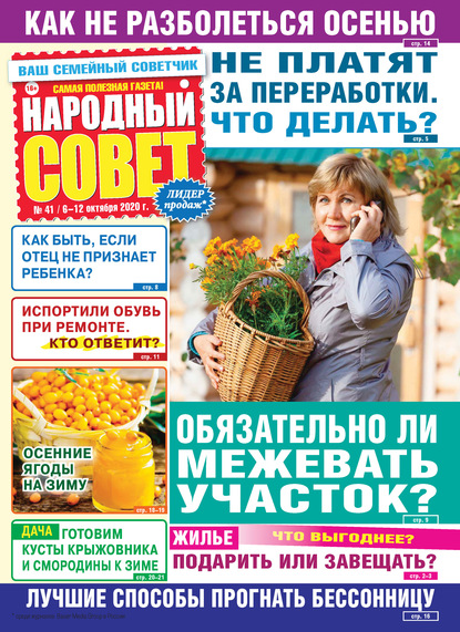 Скачать книгу Народный совет №41/2020
