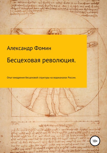 Скачать книгу Бесцеховая революция. Опыт внедрения бесцеховой структуры управления на водоканалах России.