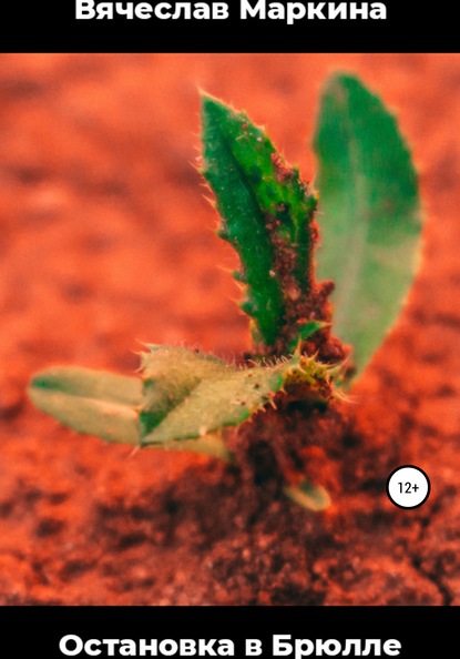 Скачать книгу Остановка в Брюлле