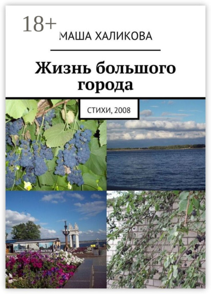 Скачать книгу Жизнь большого города. Стихи, 2008
