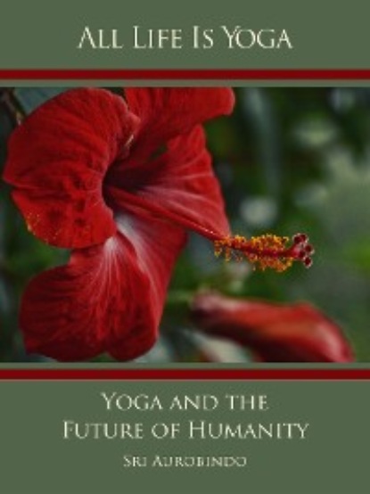 Скачать книгу All Life Is Yoga: Yoga and the Future of Humanity