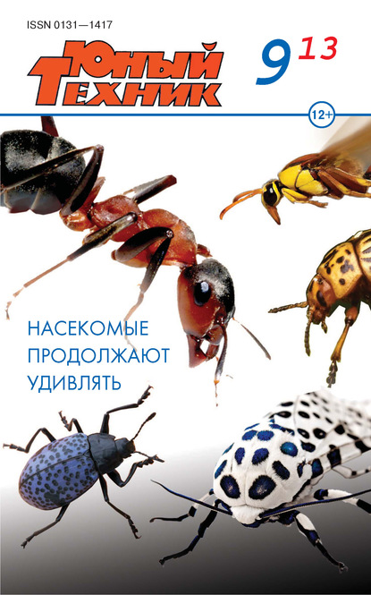 Скачать книгу Юный техник №09/2013
