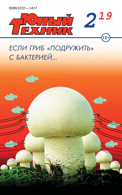 Скачать книгу Юный техник №02/2019