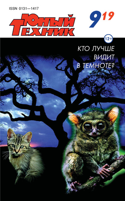 Скачать книгу Юный техник №09/2019