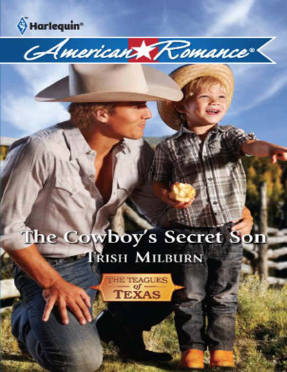 Скачать книгу The Cowboy's Secret Son