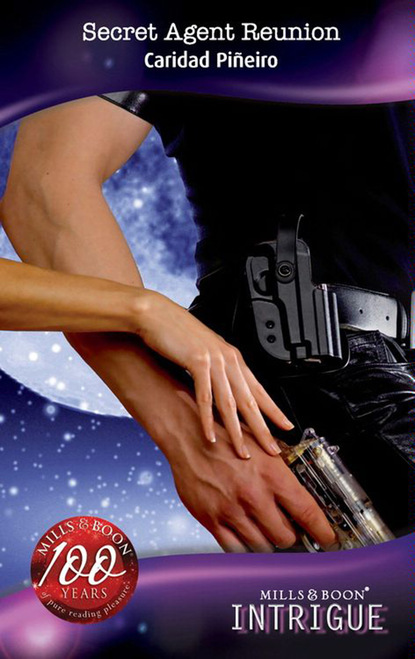 Скачать книгу Secret Agent Reunion