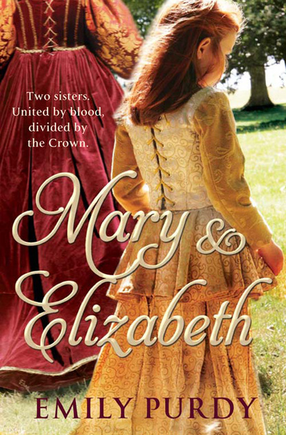 Скачать книгу Mary & Elizabeth
