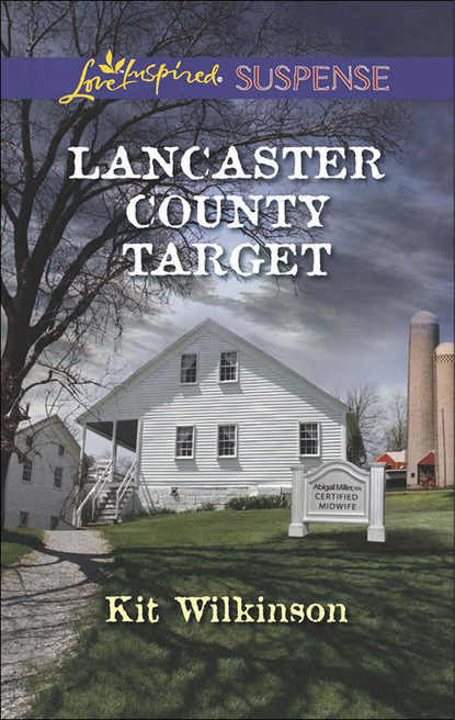 Скачать книгу Lancaster County Target