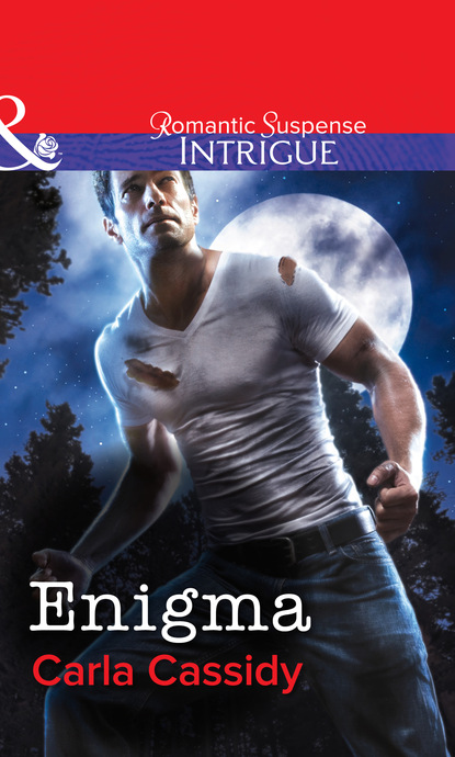 Скачать книгу Enigma