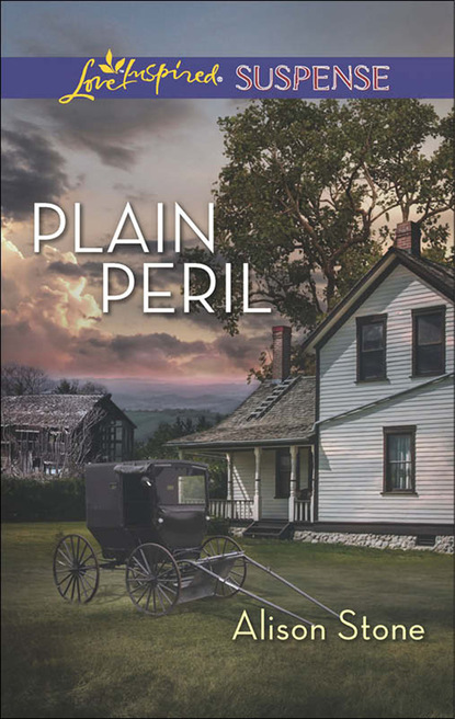 Скачать книгу Plain Peril