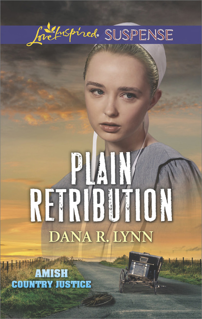 Скачать книгу Plain Retribution