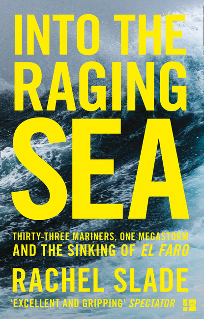 Скачать книгу Into the Raging Sea